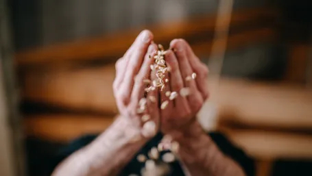 ZRUŠENÝ DEN OTEVŘENÝCH DVEŘÍ