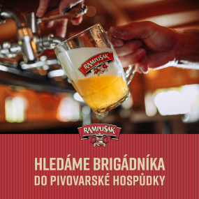 HLEDÁME BRIGÁDNÍKA!