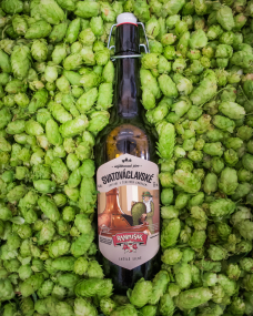 SVATOVÁCLAVSKÉ S ČERSTVÝM CHMELEM