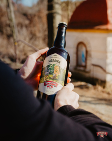 MOZAIKA – právě v prodeji!