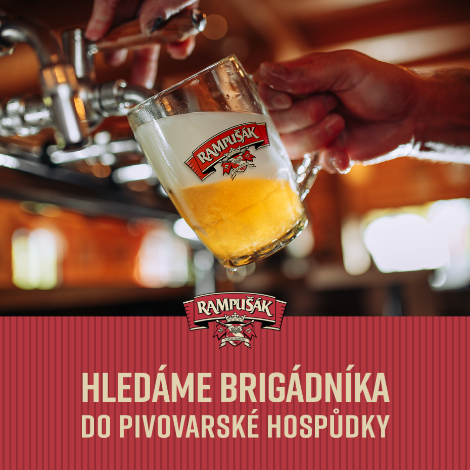 HLEDÁME BRIGÁDNÍKA!