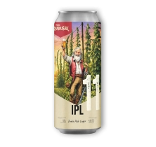 11° IPL